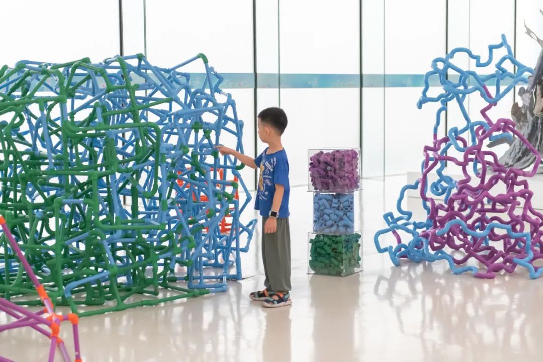 来双奥馆看bg大游管在“Colourful Cube”的艺术美学吧！